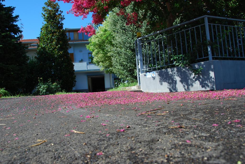 Bianco Nuvola Bed & Breakfast Montecchio  Rom bilde